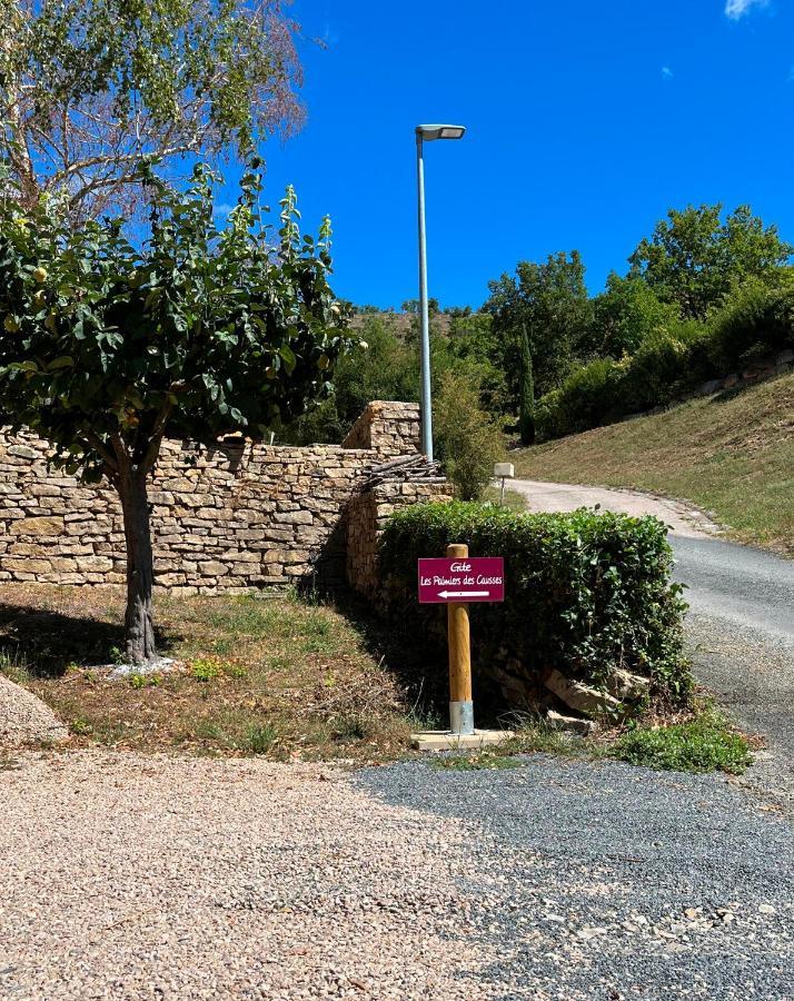 Chambre Au Calme Avec Spa Privatif Gratuit Sud Aveyron Les Palmiers Des Causses Saint-Rome-de-Tarn Exteriér fotografie