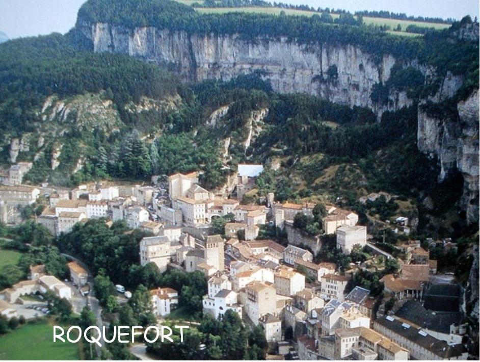 Chambre Au Calme Avec Spa Privatif Gratuit Sud Aveyron Les Palmiers Des Causses Saint-Rome-de-Tarn Exteriér fotografie